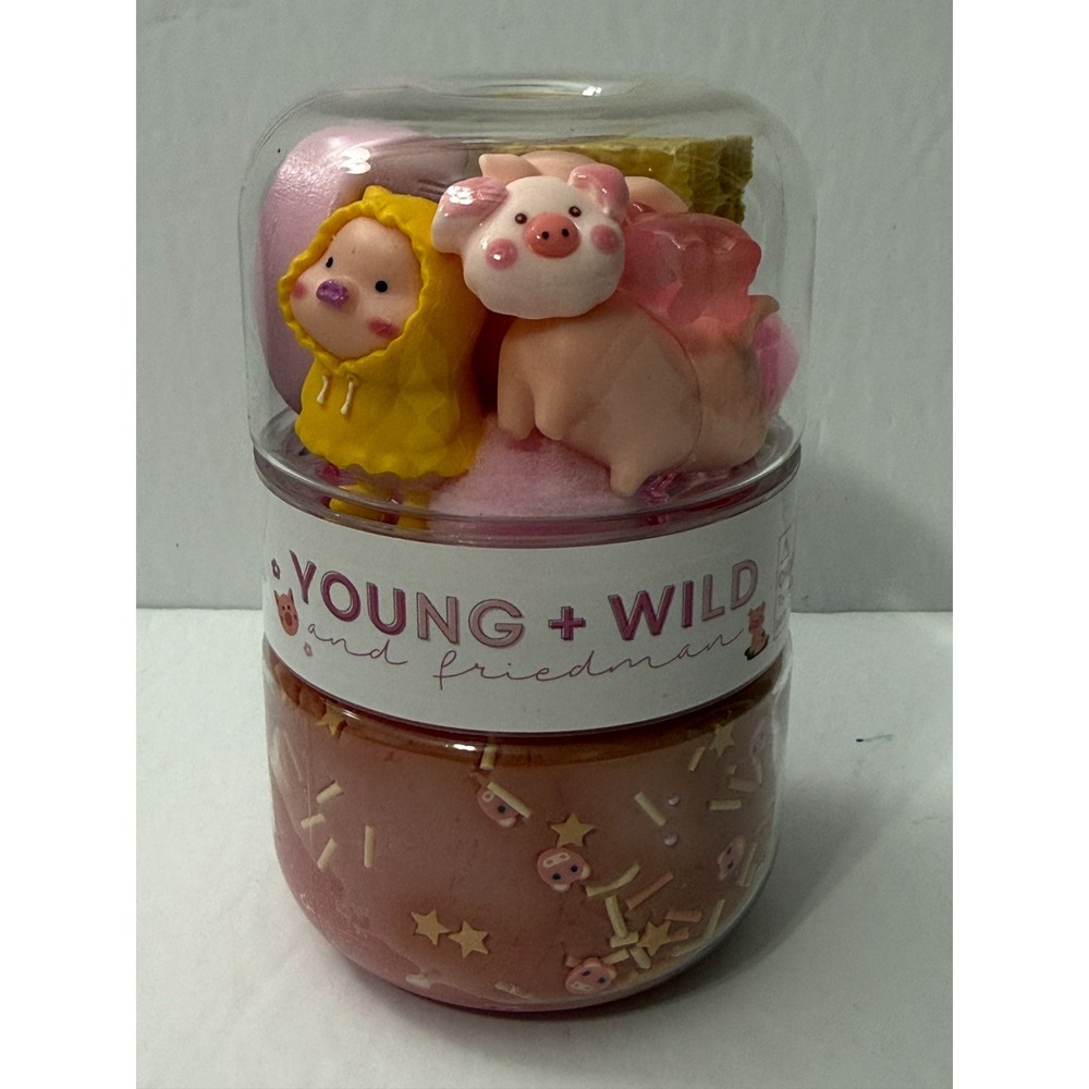Young and Wild Friedman Grab and Go Sensory Dough Jar 3 Little Pigs NEW
